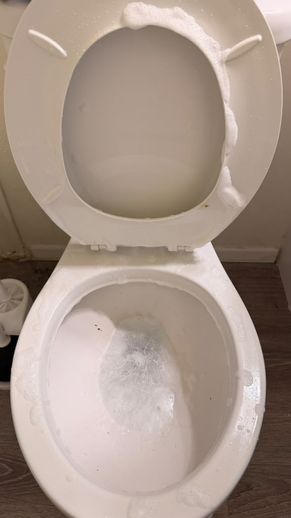 Toilet being deep cleaned with foaming cleaner